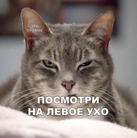 котэ интегрированный