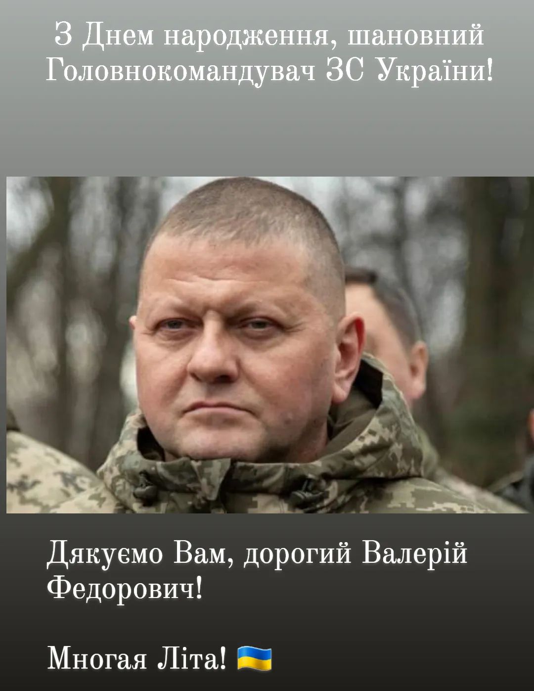 валерій залужний