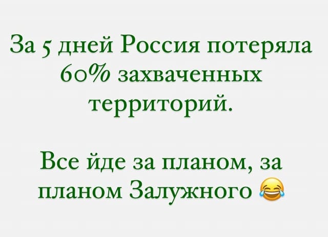 план залужного