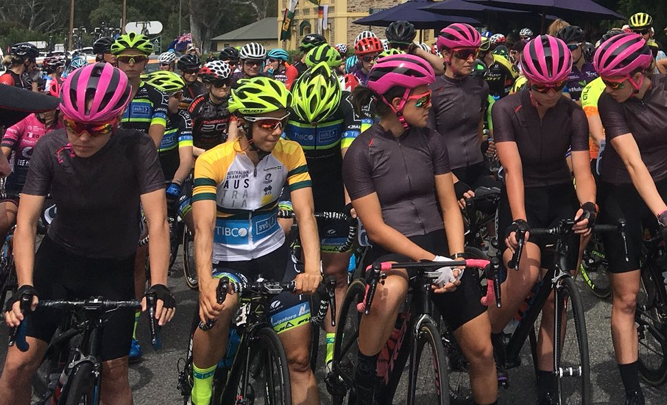 шеннон малсид