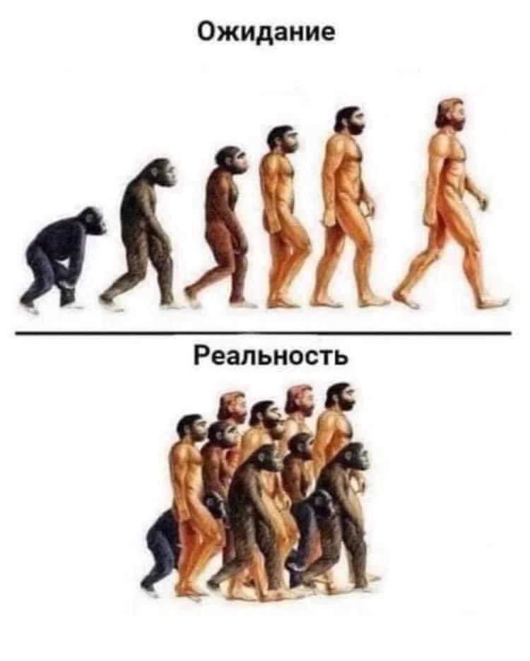 реа