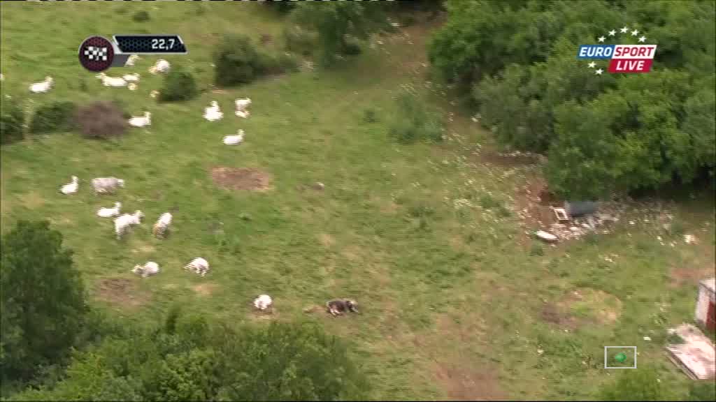 vlcsnap-2014-05-15-17h55m11s137